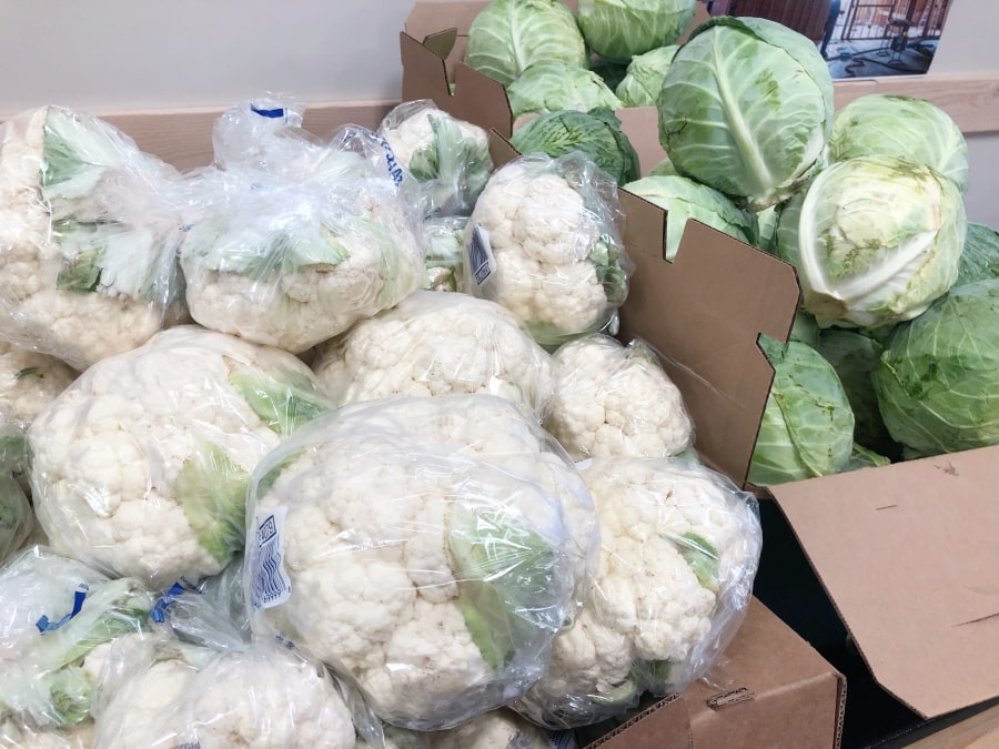 Fresh cauliflower and cabbage heads at Food bank of San Benito County