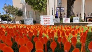 Hunger Action Month spoons on display in lawn of Veterans' Hall in Hollister, CA